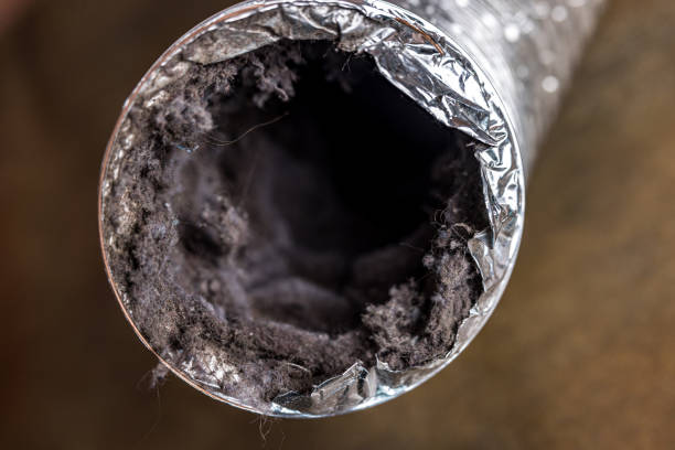 Best Affordable Duct Cleaning Services  in Milton, WA