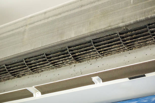 Best Air Duct Mold Removal  in Milton, WA