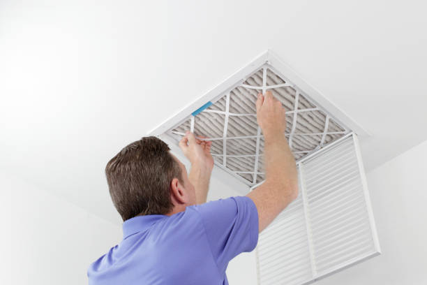 Best Local Air Duct Cleaning Services  in Milton, WA